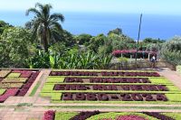 9. Tag - Madeira aktiv erleben - Funchal botanischer Garten (10)