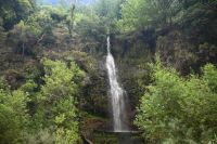 10. Tag - Madeira aktiv erleben - Wanderung Levada do Moinho und Levada Nova (1)