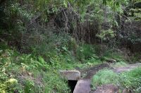 10. Tag - Madeira aktiv erleben - Wanderung Levada do Moinho und Levada Nova (11)