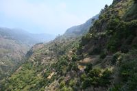 10. Tag - Madeira aktiv erleben - Wanderung Levada do Moinho und Levada Nova (15)