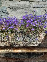 Pfossental - Jägerrast