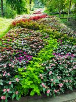 Gärten von Schloss Trauttmansdorff