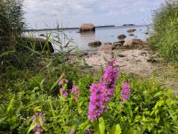 Laheema Nationalpark Fischerdorf Altja