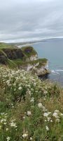 Küste am Dunluce Castle