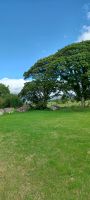 Carrowmore