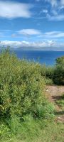 Blick auf die Dingle Bay