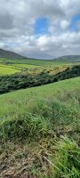 Dingle Isle