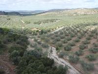 Via Verde de la Subbetica