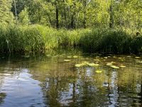 Ruhe und Natur an der Krutyna