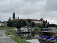 Blick zum Wawel über die Weichsel