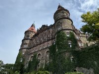 Blick vom Garten auf das Schloss