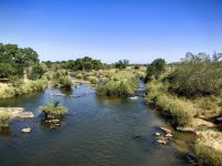 Flußlandschaft im Krügerpark