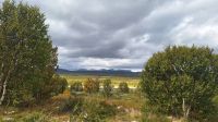 Dovrefjell