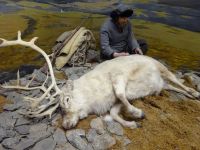 Hurtigruten: Tromsö: im Polarmuseum