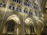 Hurtigruten: Trondheim: im Nidarosdom