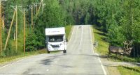 E75 - Verkehr in Finnisch Lappland - Rentier gesehen?