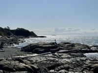 12. Tag – Victoria bis Vancouver – Bucht am Beacon Hill Park in Victoria