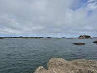 22 Rosa Granitküste.jpg