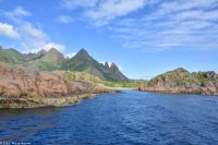 Seeadlersafari im Raftsund zwischen Vesterålen und Lofoten