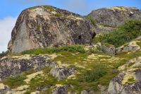 Seeadlersuchbild! Es gibt einen! (Tipp: Bildmitte im Flug)