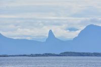 Seeadlersafari im Raftsund zwischen Vesterålen und Lofoten
