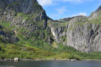 Seeadlersafari im Raftsund zwischen Vesterålen und Lofoten