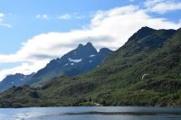 Seeadlersafari im Raftsund zwischen Vesterålen und Lofoten