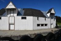 Hanøy, Insel Hinnøya, Vesterålen Archipel - Ende der Seeadlersafari