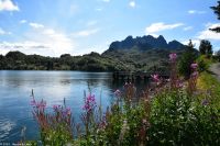 Hanøy, Insel Hinnøya, Vesterålen Archipel - Ende der Seeadlersafari