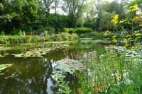 Tag 3, 19.08.2024 Giverny, Gärten von Monet 