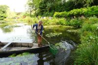 Tag 3, 19.08.2024 Giverny, Gärten von Monet 