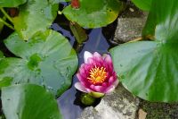 Tag 5, 21.08.2024 Cambremer 