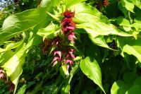 Tag 5, 21.08.2024 Cambremer 