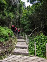 Eine Mannschaft von Paddlern läuft durch den Tsitsikamma Nationalpark