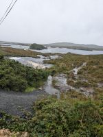 Salmon Hut
