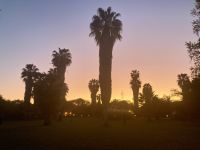 Mount Etjo Safari Lodge