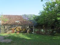 Altes Haus und Geräte bei Chá Gorreana - Azoren