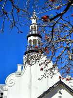 Kirchturm in Swellendam mit Feuerbaum davor