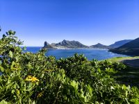 Am Chapmans Peak hat man tolle Ausblicke auf die Küste der Kaphalbinsel