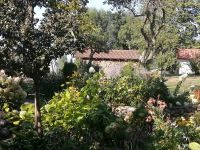 Garten am Museum