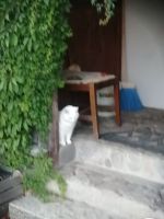 Auf dem Hof von Eulalia