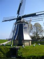 Polder Windmühle