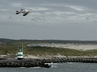 Ausfahrt aus Ijmuiden