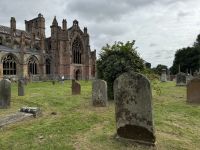 Melrose Abbey