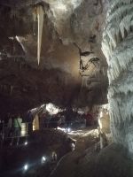 Besichtigung der Punkva-Höhle im mährischen Karst, Bootsfahrt