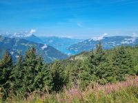 Schynige Platte 