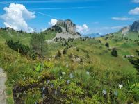 Schynige Platte - Alpengarten