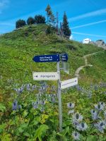 Schynige Platte - Alpengarten