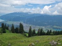 Fahrt von der Schynigen Platte nach Wilderswil... (Interlaken)