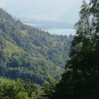 Blick auf den Genfer See